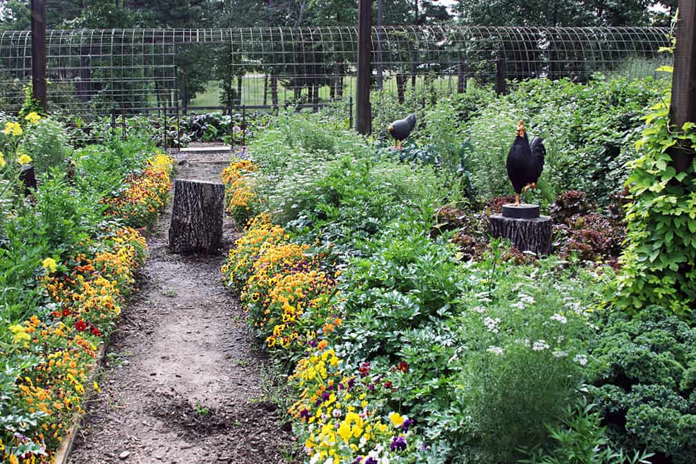 This is but one small section of the vegetable garden at Moss Mountain. Since the season in Little Rock is so far in advance of Cape Cod I enjoyed being surrounded by "summer" veggies!