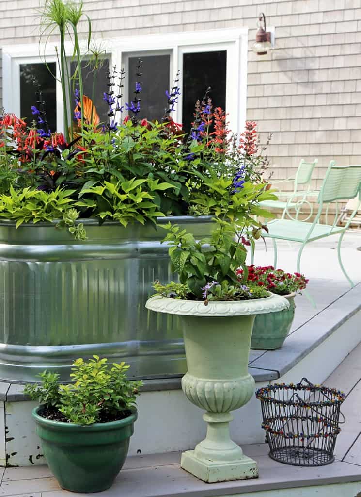 Beaded baskets can be added to any grouping in the garden.