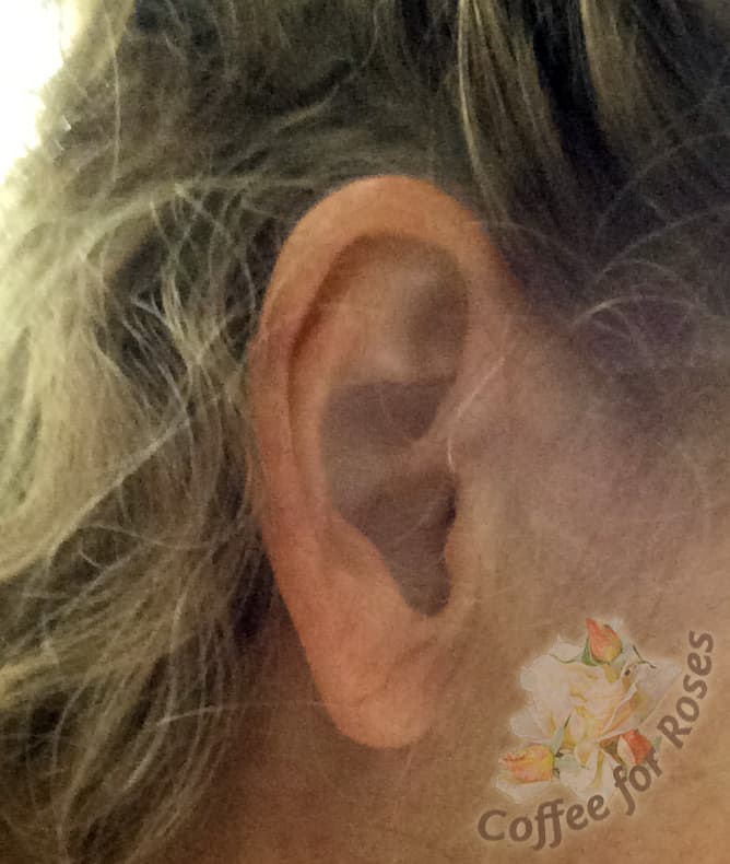 Anyone who needs hearing aids wants them to improve hearing, of course, but in our heart of hearts what's most important is that they should be invisible...or close to it. This is how my hearing aid looks. 