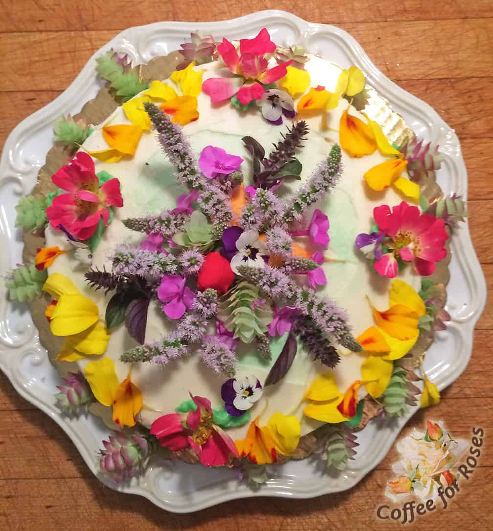 This cake has a rosebud and violas in the center, along with the long, fuzzy,  mint flowers and purple African basil. The papery-looking flowers on the top and around the edge of this store-bought carrot cake are from Oregano 'Kent Beauty.'