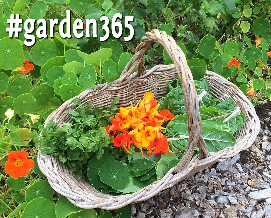 garden365