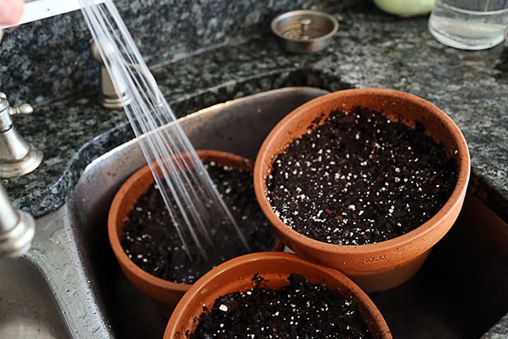 Most kitchen spritzers are forceful enough to break the surface tension of potting soil and allow a complete soaking. Note that some potting mixes are higher in peat moss and those might be harder to get wet.
