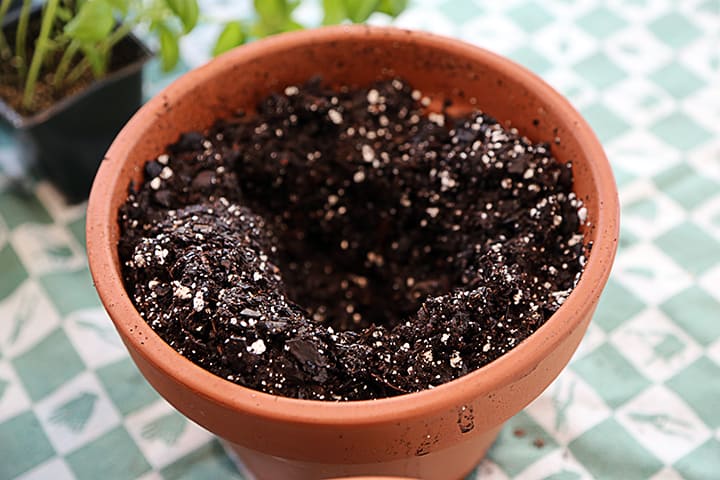 Never pack the soil into a pot. This squeezes out the air. Watering will naturally settle the soil and plant once you have it all in place. Use your hand (wear potting gloves if you are protecting your skin or nails) to push the soil aside, creating a hole to place the plant in.