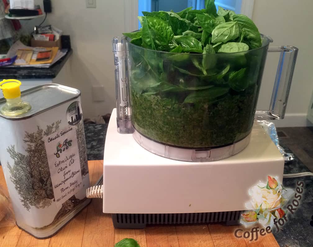 Put the basil leaves and some roasted garlic into a food processor with olive oil. I used one clove of garlic and one tablespoon of olive oil for every two cups of basil foliage. Add a coup of grated parmesan to make it blend well.