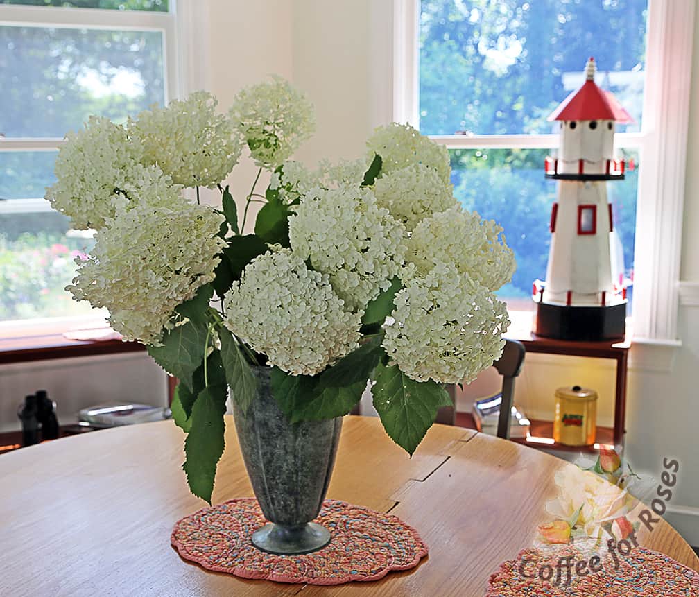 I cut a few of the most horizontal stems since these flowers would just turn muddy in the first rain anyway. Flopping hydrangea stems is a good excuse to bring in a bouquet!