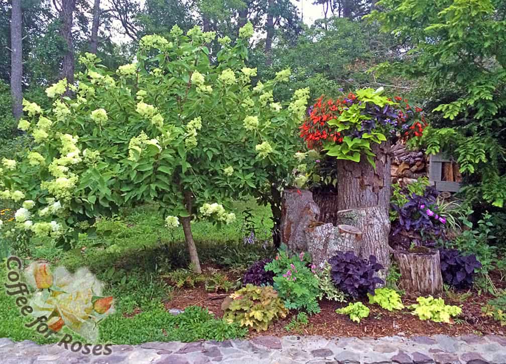 The annuals have grown in so well that it's hard to see the planter, and all of the plants at the base of the logs are filling in nicely. A fairy garden sprung to life-sized!