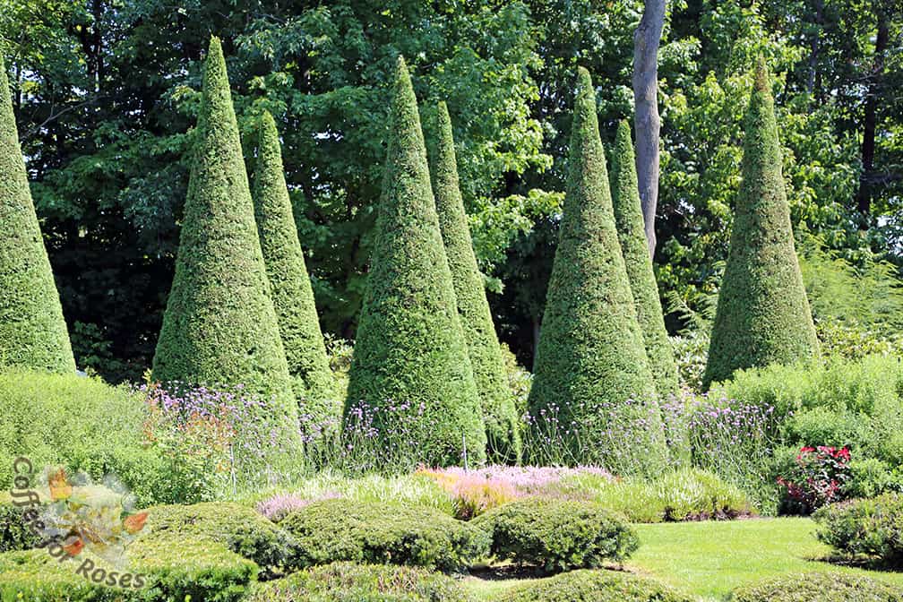 In the Milliard Garden in Quebec, it's the dramatic sheared arborvitaes that dominate. Flowering plants soften the upright shapes almost looking like a river flowing past mountain peaks. 