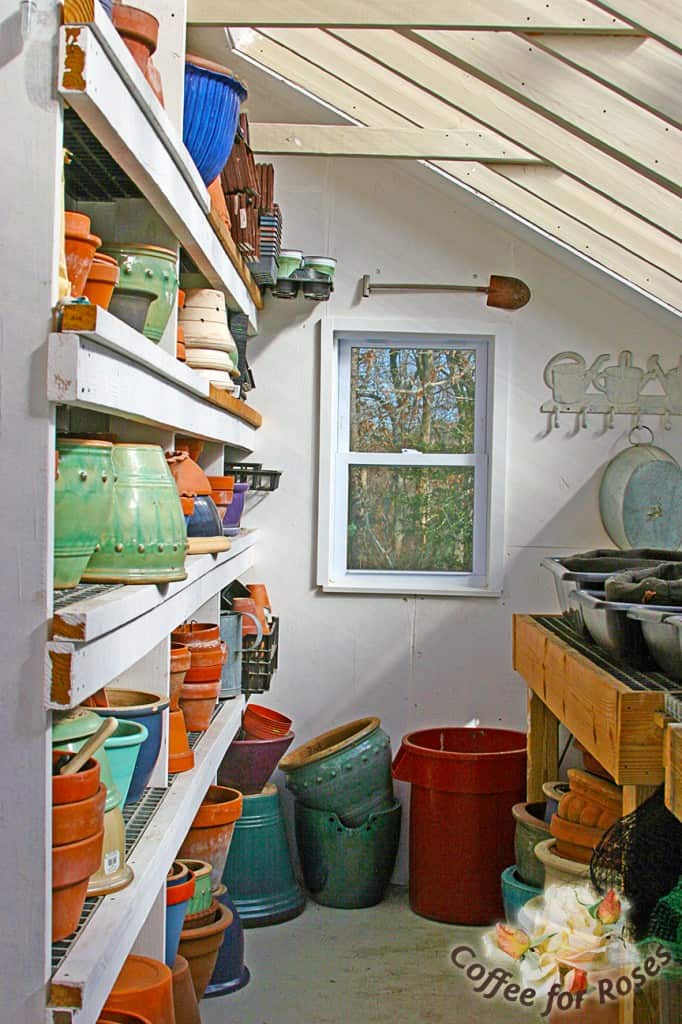 On the seed-starting side I had my husband build shelves that hold most of my pots. It makes good use of this tall wall and the clay pots absorb the heat of the sun all day and release it at night.