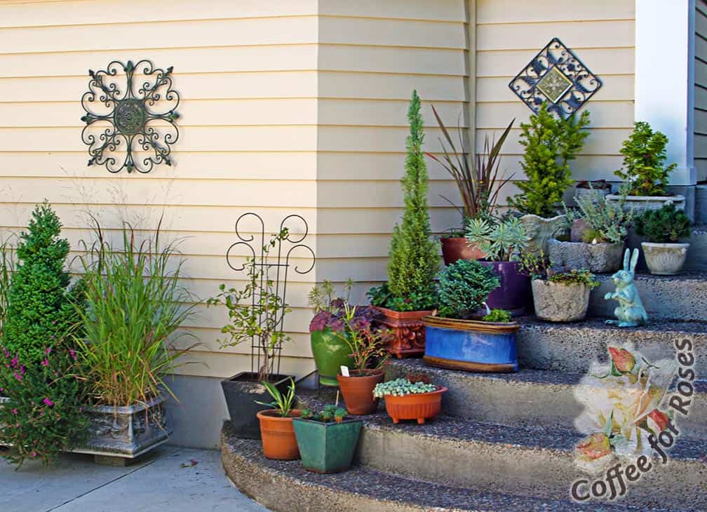 Assorted potted plants were very successfully used at this house to soften the stairs to the backdoor.