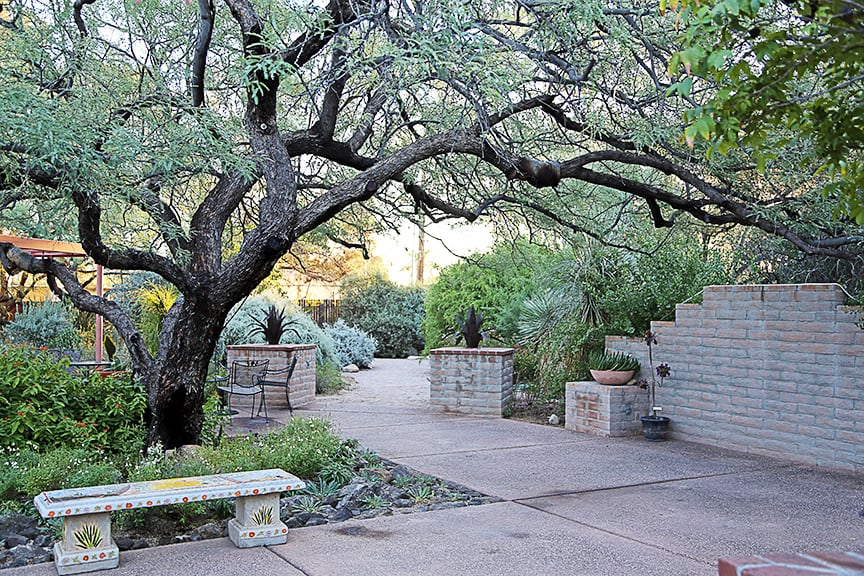 Although the Tucson Botanical Garden isn't huge, you can wander here for hours.