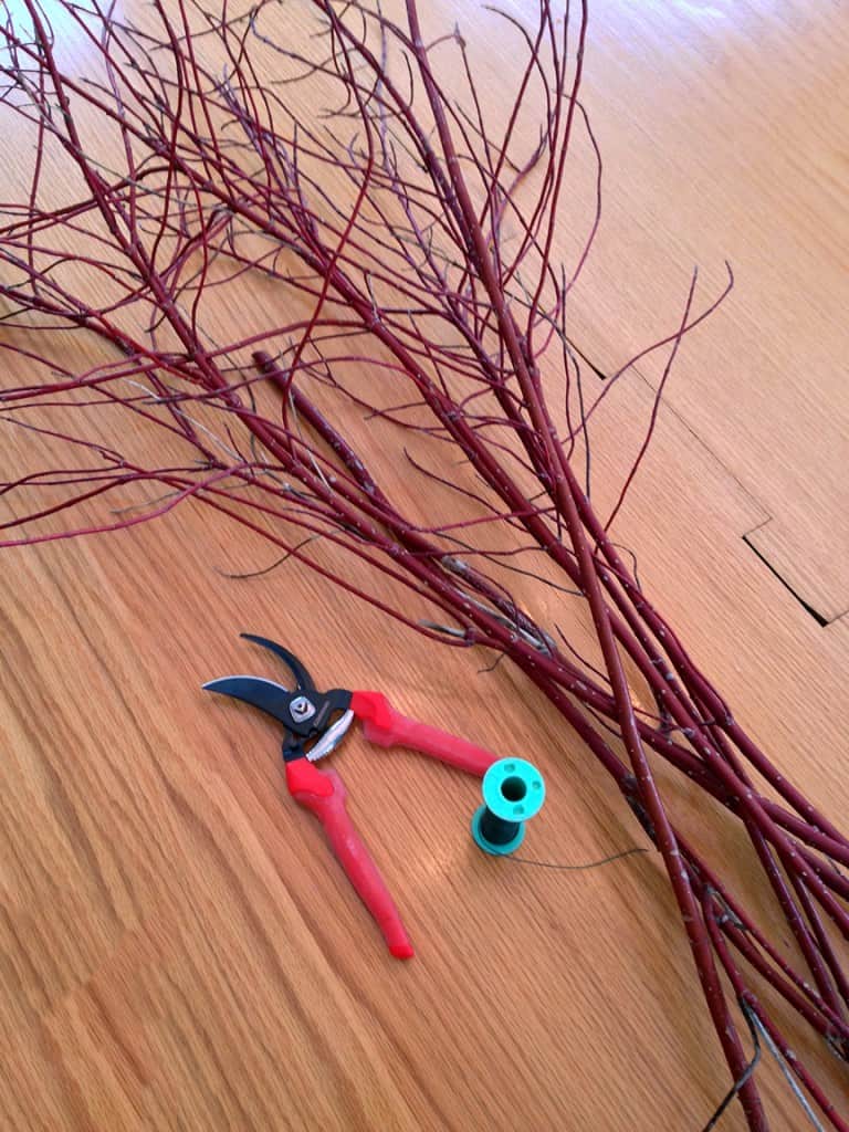 You need a spool of craft wire, a pair of pruners, wire cutters and two stems for each heart. Leave all the "twiggy growth" on the top of each stem.