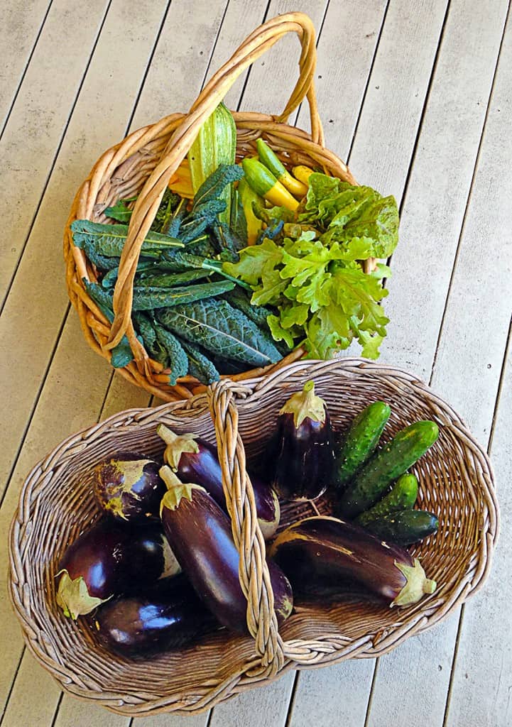 In the height of the season it's so satisfying to go out in the yard and pick dinner. Start planning your vegetable garden now.