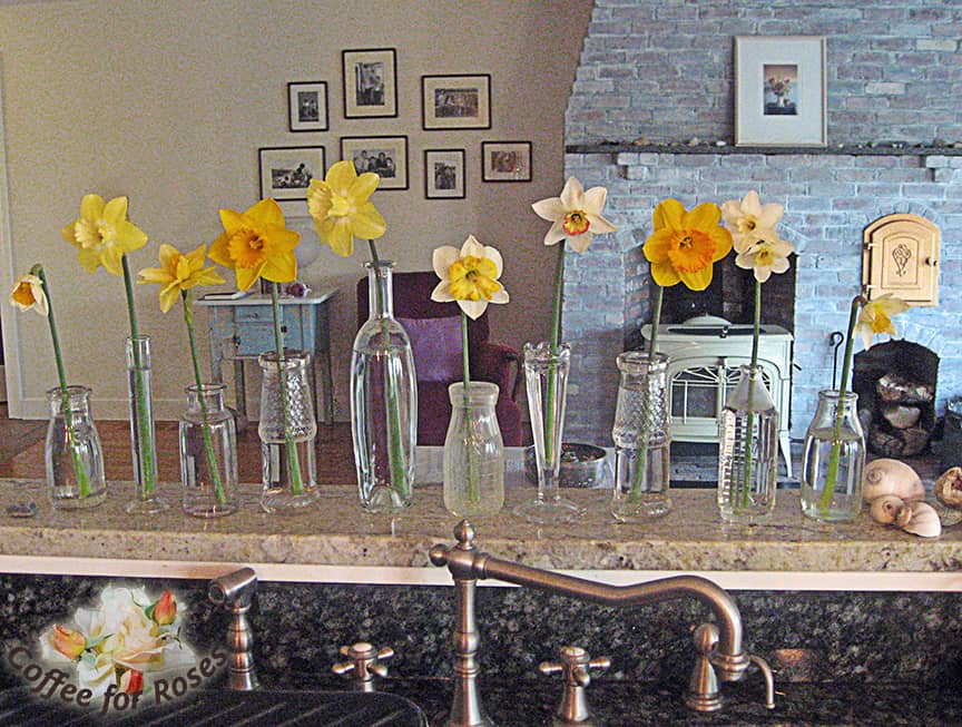 I like to use an assortment of small bottles on this sill, filling each with a single flower. 