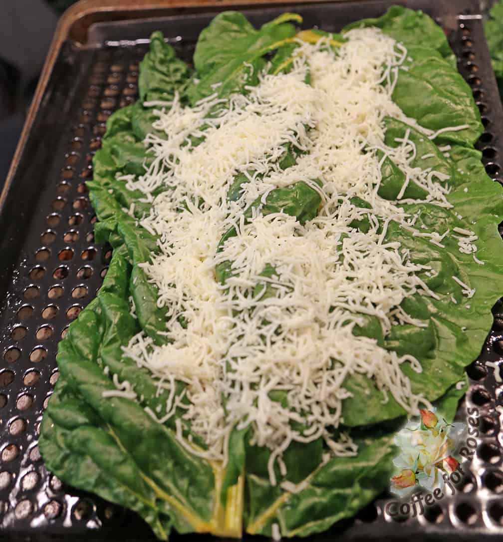 Sprinkle these leaves with the first layer of cheese. 