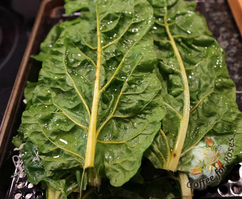 Top with two or three more chard leaves and brush the tops of them with olive oil.