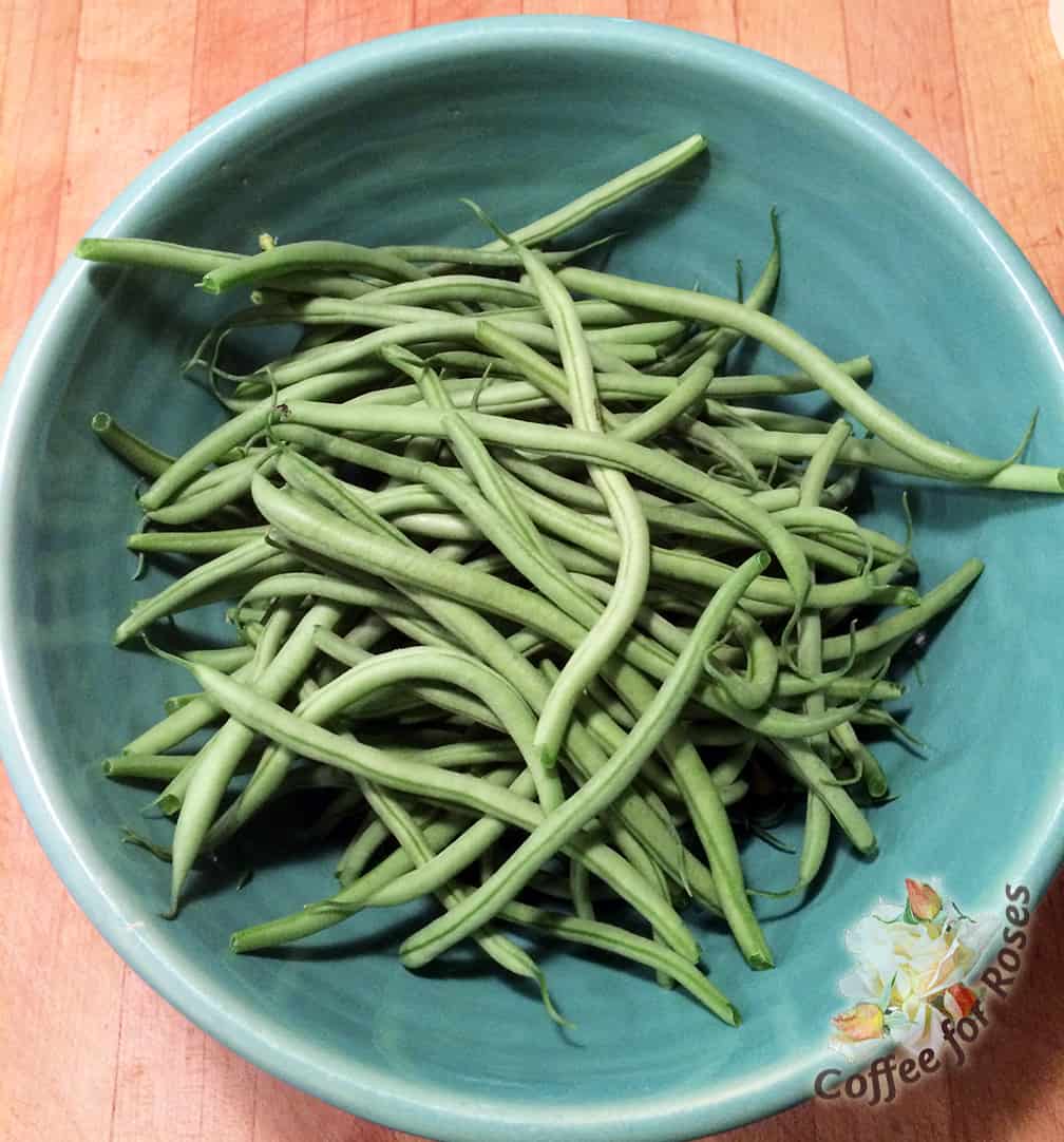 Place your bean harvest in a bowl. Toss with a tablespoon or two of olive oil. Use your hands to turn over the beans in the oil to coat all before turning them onto a cookie sheet covered with parchment paper.