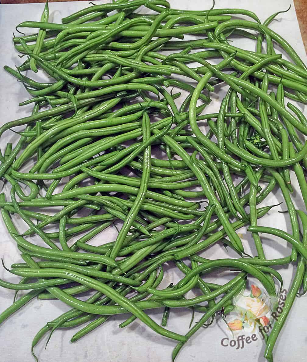 Spread the oiled green beans in an even layer on parchment paper. Place this in a hot oven. Check after about 10 or 15 minutes and if the beans have begun to brown on the ends turn them with a spatula. Continue to roast until the beans have all started to wilt and brown.