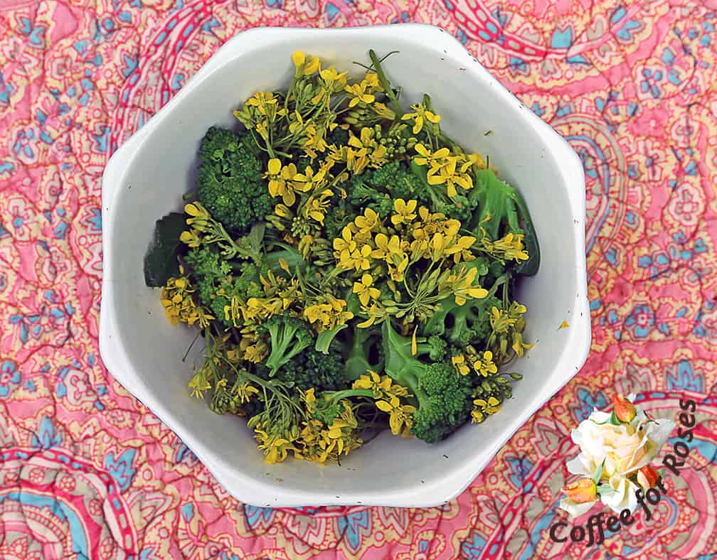 This broccoli flower salad is pretty, healthy and tasty too. And by removing all the stems of broccoli flowers you'll be stimulating the plant to produce more side shoots of broccoli crowns.
