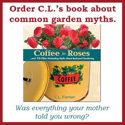 Coffee For Roses Book Cover