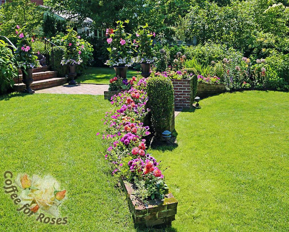 This annual planting has the best of both worlds. Some pastel pinks, but some strong pink, purple and burgundy as well. Even in the midday sun in late June this garden is exciting. 