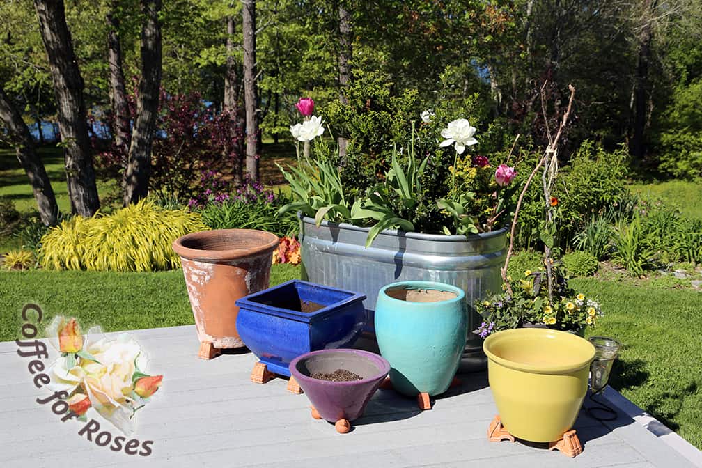 In the spring these pots added cheerful colors to the deck even when it was far too early to plant them with summer annuals.