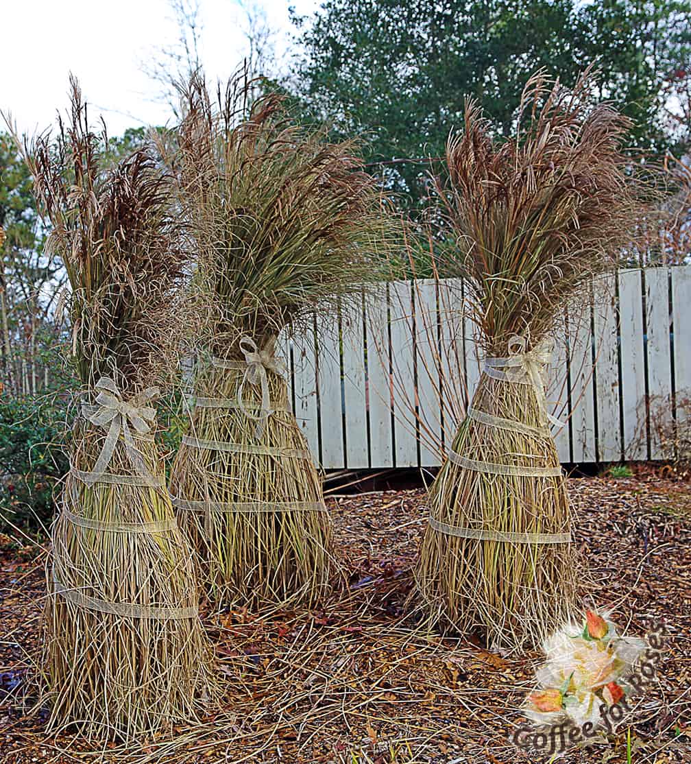 Finally, I took some net ribbon and wound up three Miscanthus. I can see other possibilities here...red "candy cane" type ribbons spiraling up, or trimmed, topairy tops. 