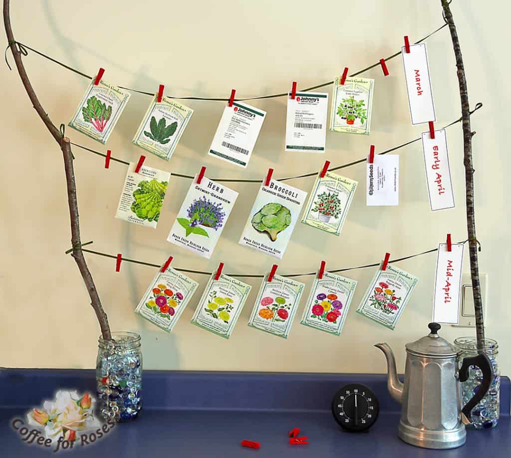 The perfect winter pick-me-up! You can print out labels that remind you when each group of seeds should be sown. 