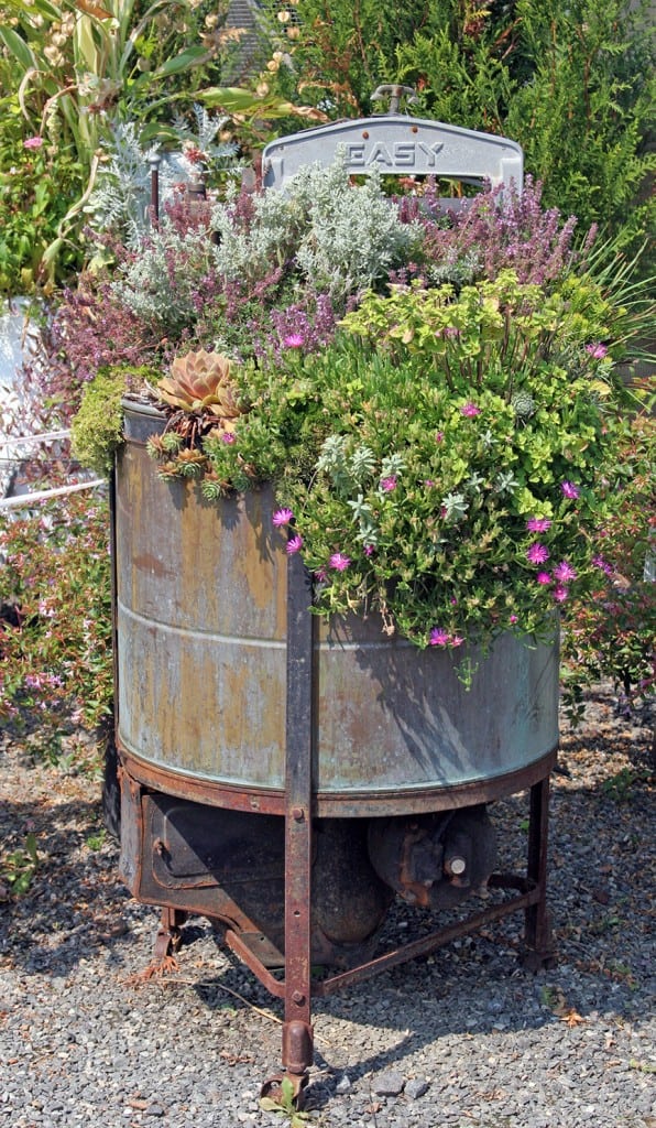 I spied this old Easy washer at J. Franklin Styers in Pennsylvania. They are now Terrain, but still on Route 1 in Glen Mills. This tub shows how wonderfully vintage metal blends with plants. What do you have in your basement that could be filled with plants this summer?