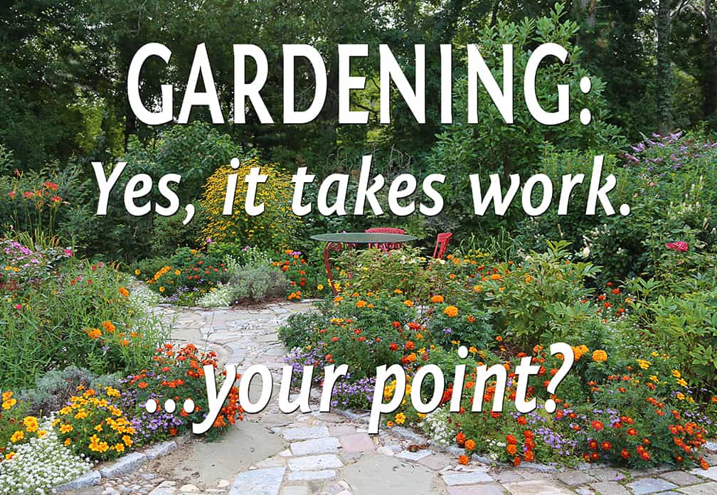 Do you have what it takes to be a gardener? 