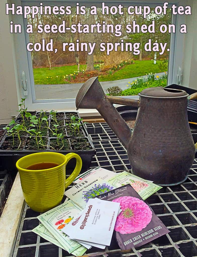 I am celebrating May Day by planting seeds.