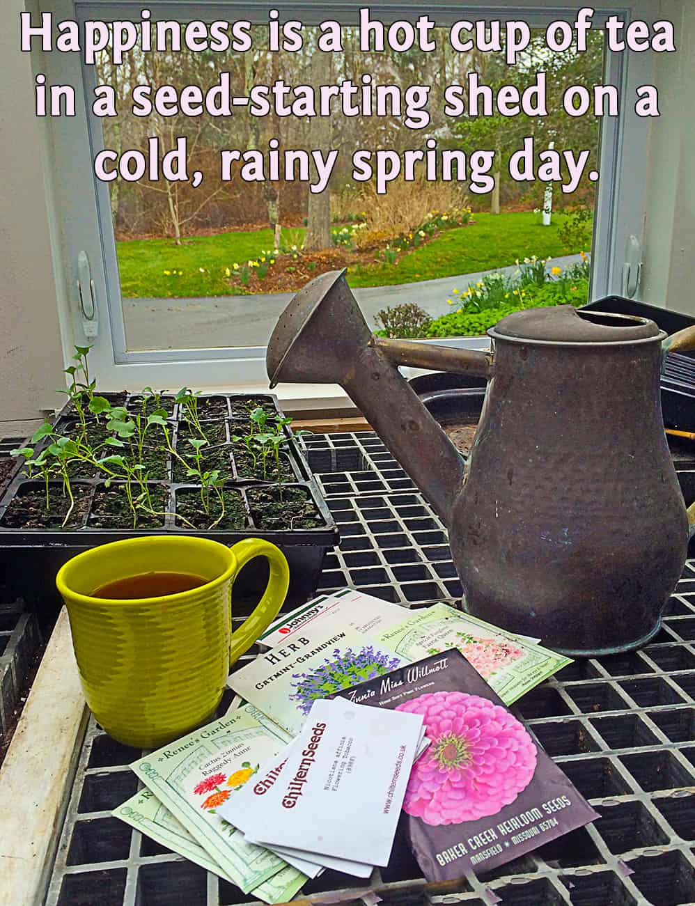 A May Day Celebration
