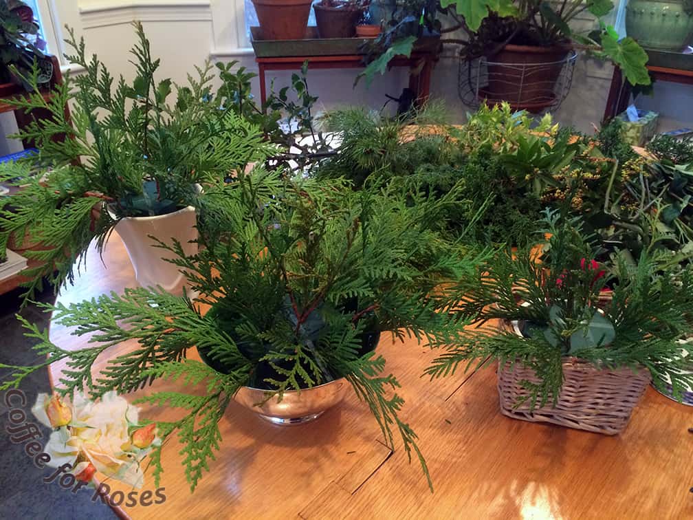 I put in the Green Giant arborvitae foliage in all three containers first. Then I customized them from there.