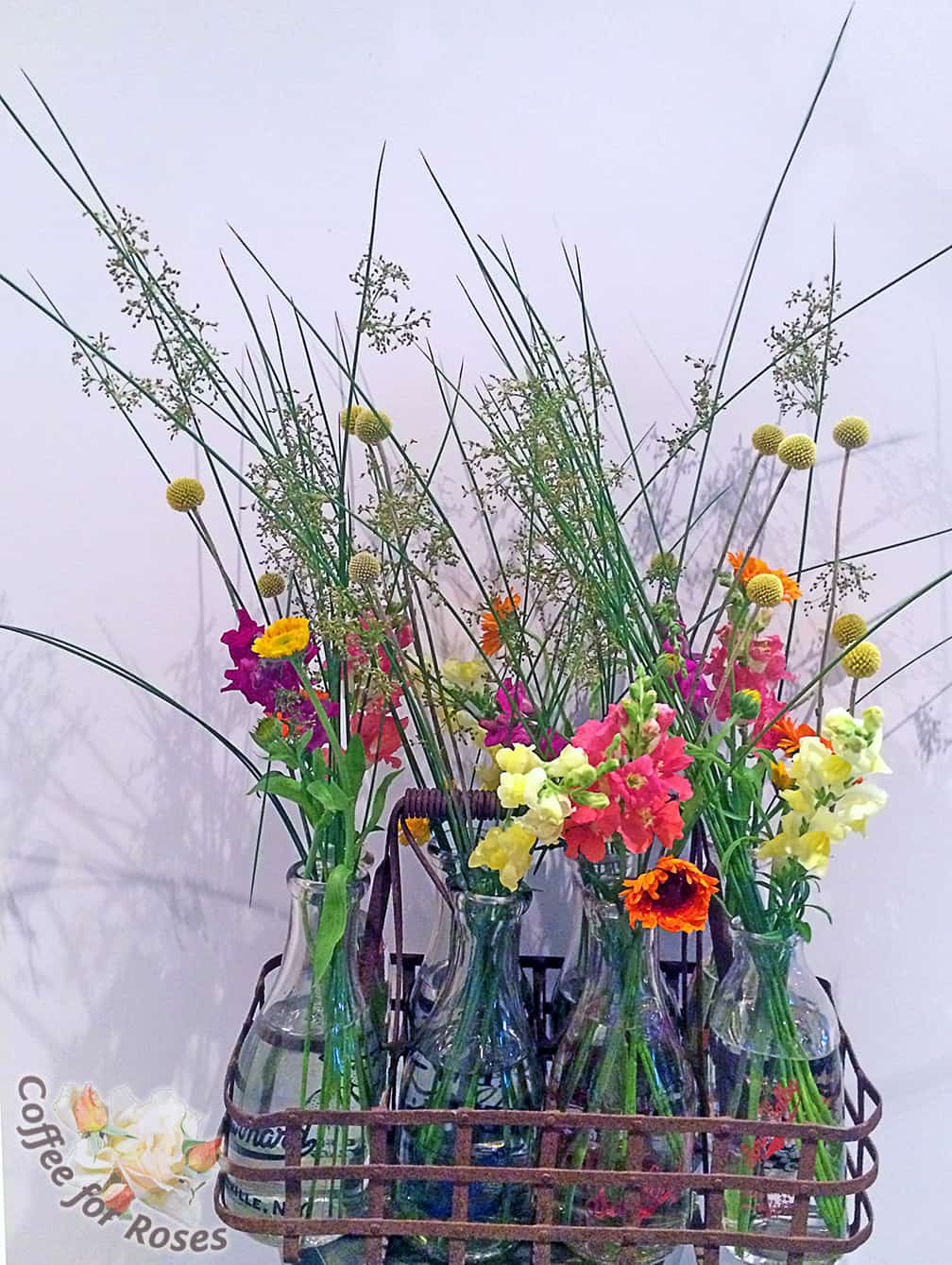 I put together a few arrangements before the wedding day too. I love how the rush (Juncus) looks in this milk-bottle display.