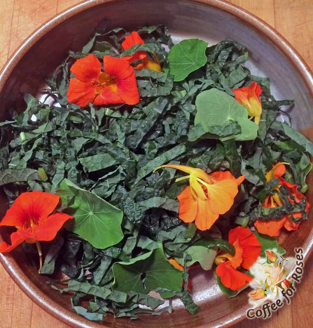 In our house a salad isn't complete unless it contains Nasturtium flowers and leaves. 