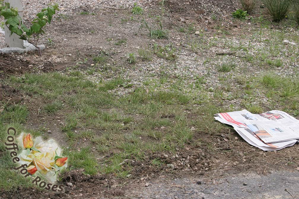 Here is a typical place where this newspaper and mulch works well. At the end of my driveway there was a small area of lawn that wasn't thriving. The soil was very compact from various construction projects, and there was a good deal of stone dust just under the soil surface that had been kicked there from the construction of a nearby walkway. Not ideal planting conditions! Nevertheless, I began by laying out packets of newspaper to smother the plants there.