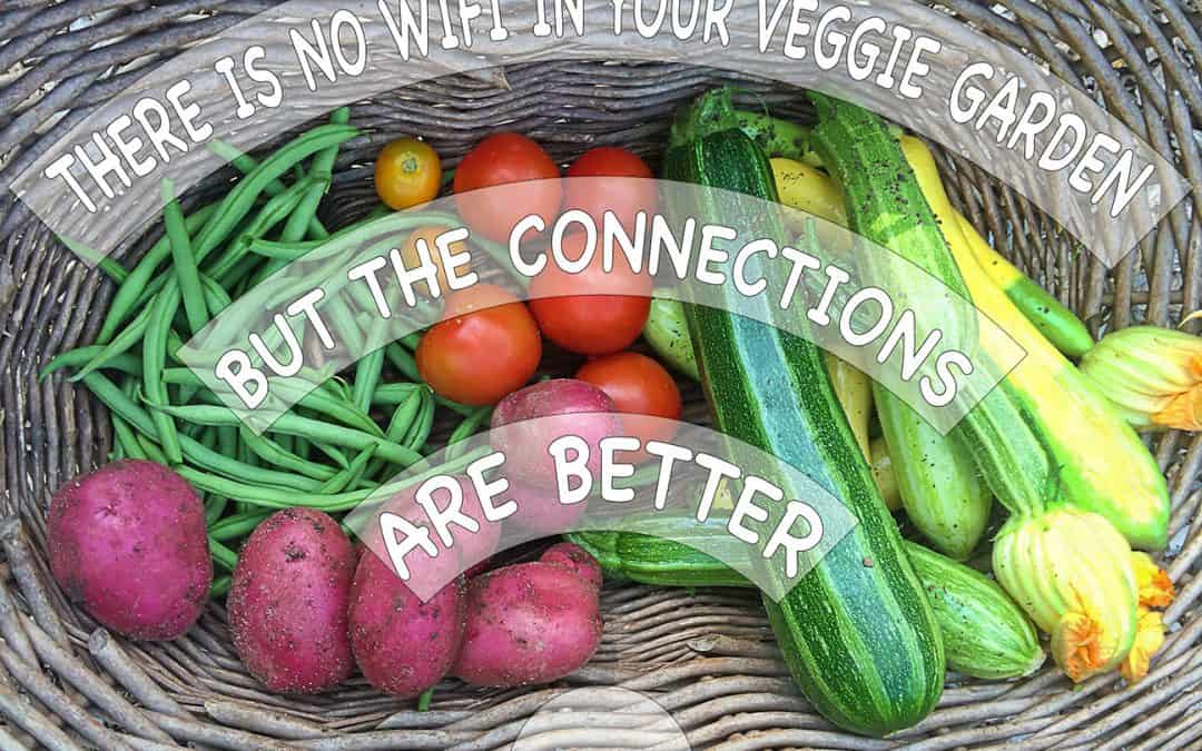 Better Connections Through Vegetable Gardening