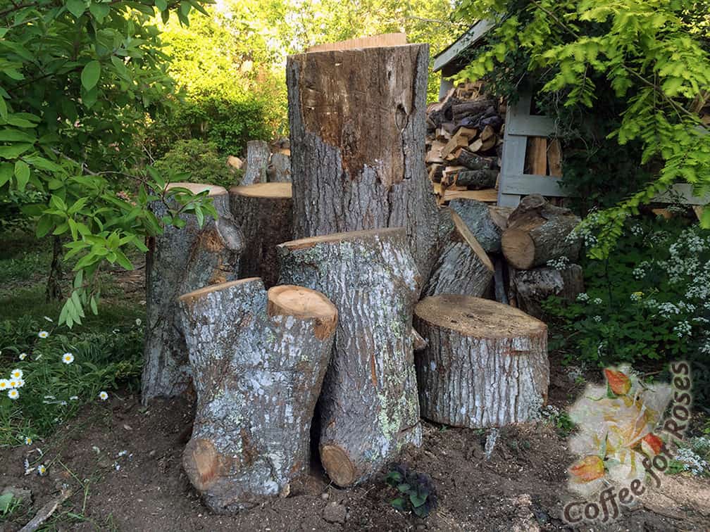 I made these huge cut tree trunks into something magical. You must experience the transformation in person!