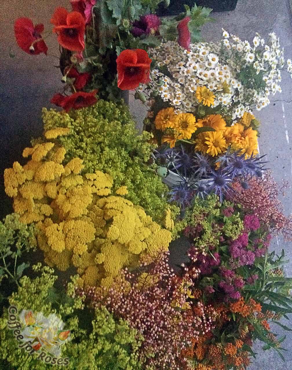 Here are some of the flowers I picked from my gardens, top to bottom: corn poppies, feverfew, heliopsis, lady's mantle, yarrow, blue sea holly, heuchera, spirea, and butterfly weed. 