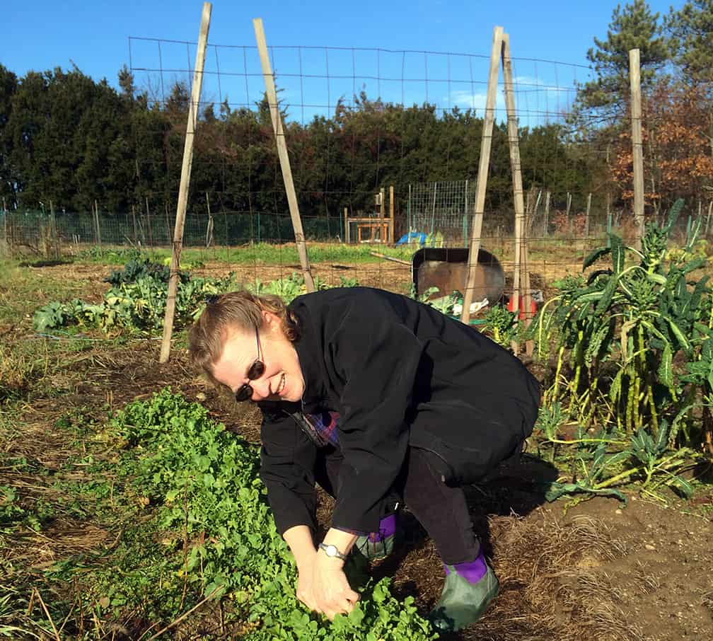 And here I am picking fresh arugula on Christmas day, 2014.  Although we haven't had any snow, we have had several nights when the temperatures have gone into the 20's and this green, along with the kale, sales through such frosts.