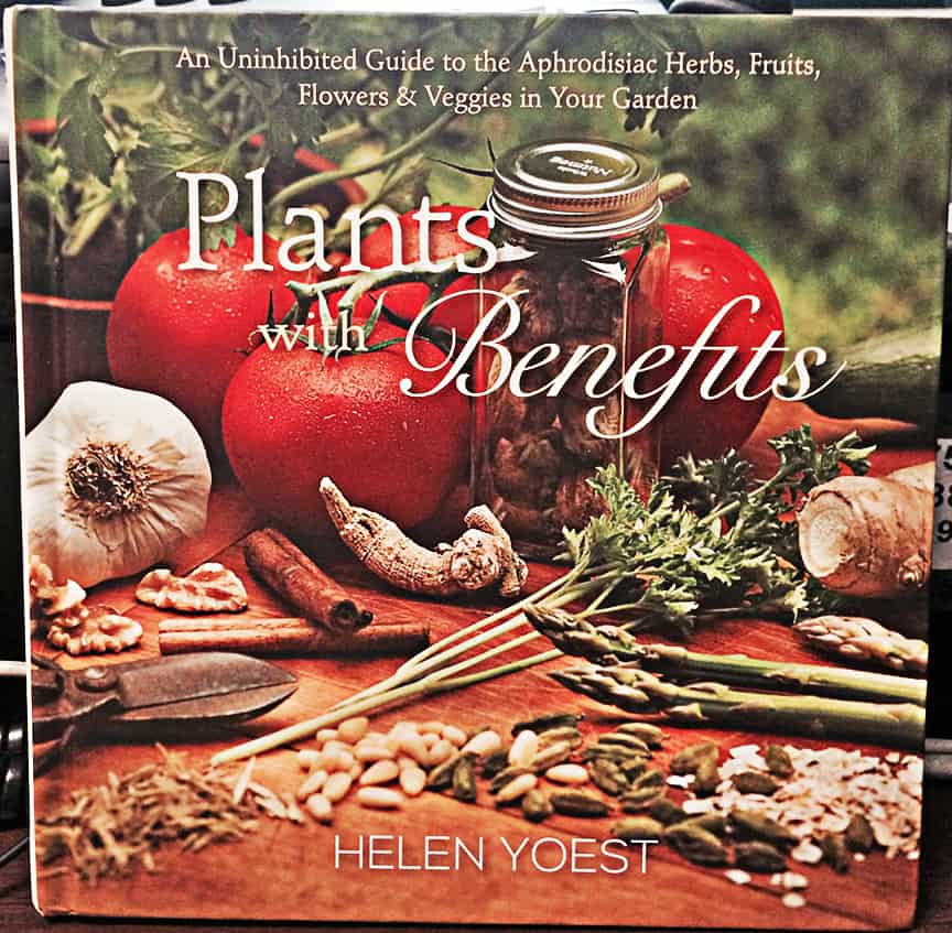 Written by Helen Yoest and published by St. Lynn's Press