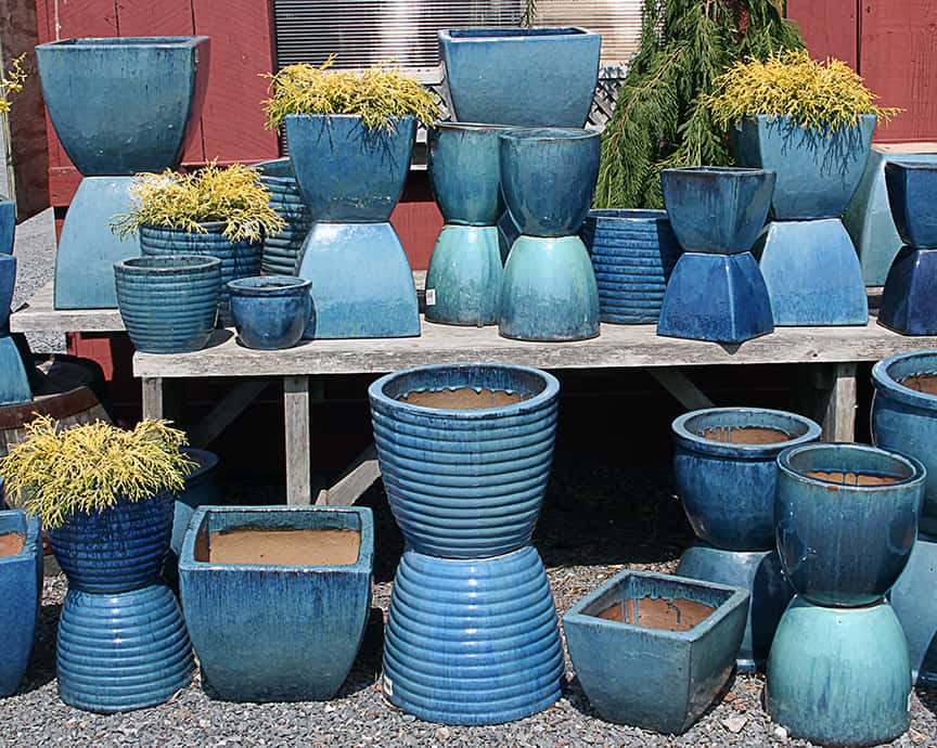 This collection of blue pots reminds me that a grouping of containers that area all a similar color is always lovely on a deck, porch or patio. These were just some of the many pots that I saw at Russells Garden Center in Wayland. 