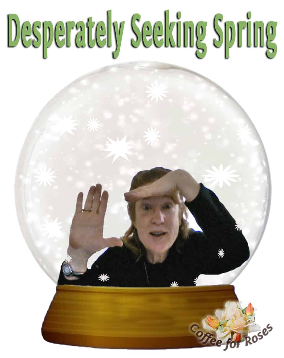 Trapped in a Snow Globe