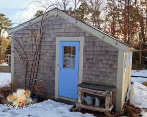 small heated shed