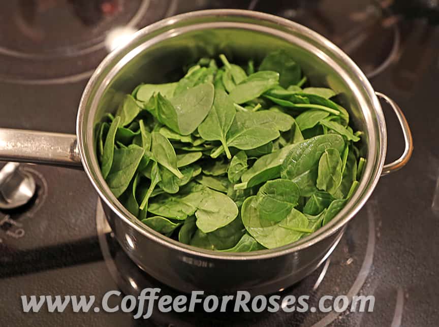 Steam spinach with just a small amount of water in the bottom of the pan. It takes about 3 to 5 minutes to be fully wilted.