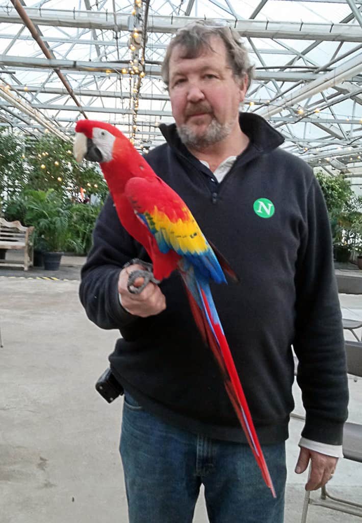 Steve Nunan took Jacob, the store Macaw, out for his daily stroll around the greenhouse. Jacob is a curious bird who will show off by doing pull-ups while hanging from his beak. Be sure to tell him he's a pretty bird.