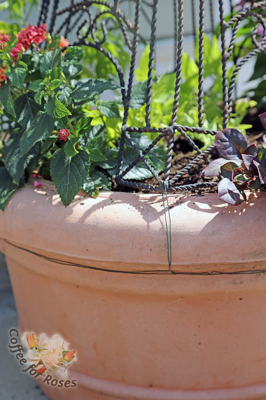Once all four corners are attached to the circling wire the vertical element is secured on top of the pot.