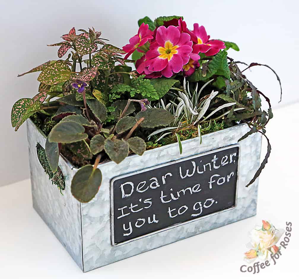 Plant A Garden With A Message