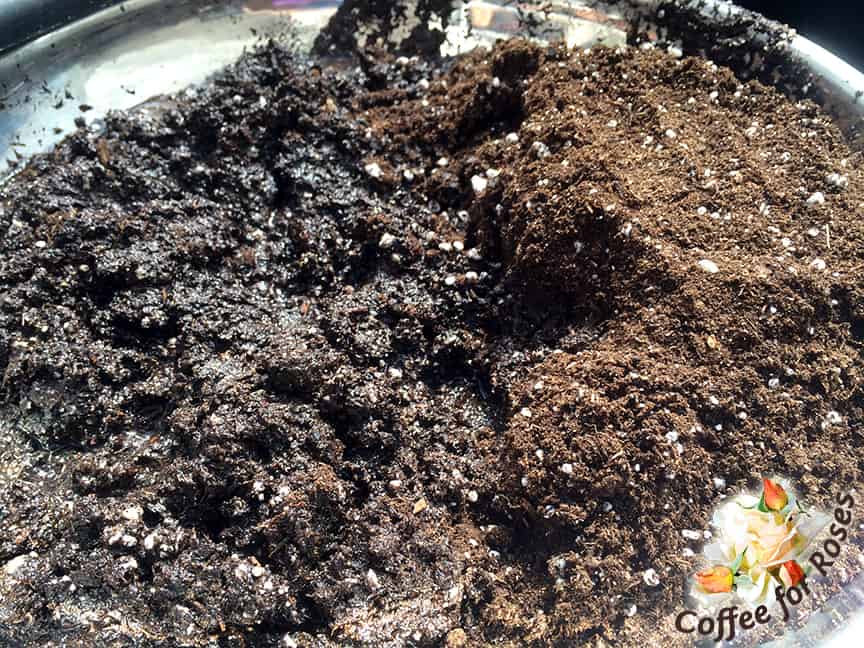 This photo shows the difference between the wet mix on the left and the dry on the right. Be sure to get your seed starting mix really wet BEFORE you fill your pots of flats. Otherwise the peat will shed the water leaving the top of the soil looking wet but really being dry underneath. I mix the water (you'll be amazed at how much it takes) in with my hands in a large bowl or plastic bin and then put the moist mix into the pots or six packs afterwards.  