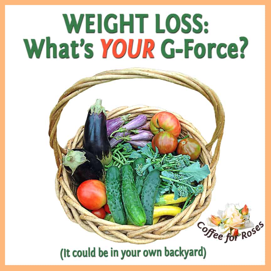 whats_your_g_force_graphic