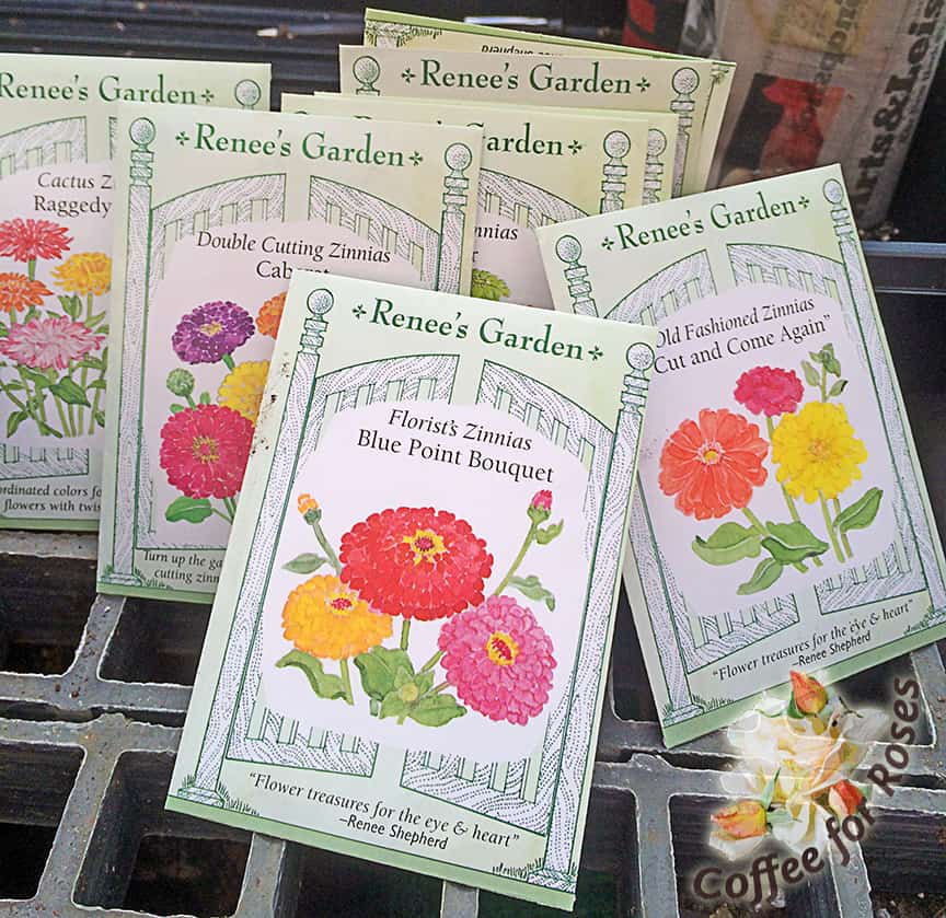 Here are the zinnias we're giving away to two people who comment on this blog post. Be sure to read the back of a package for the best timing for starting seeds. Zinnias get started about four to six weeks before you can put them outside. If you're gardening in northern areas (Cape Cod north) you'll want to wait until late April or even early May to start your zinnias indoors. Other plants such as broccoli and most perennials can be started earlier, and if you live south of Massachusetts you can probably start your zinnias pretty soon too.
